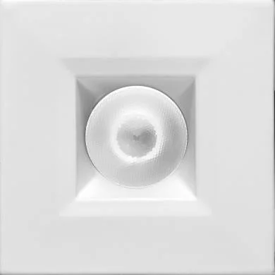 2026_06_12_407629