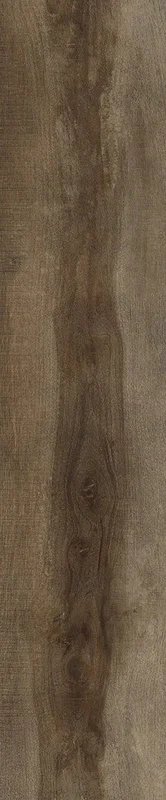 2026_06_12_425259